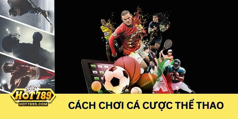 Cách chơi cá độ thể thao online chất lượng và an toàn