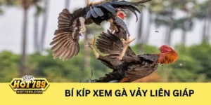 Chia sẻ kinh nghiệm xem vảy chân gà liên giáp