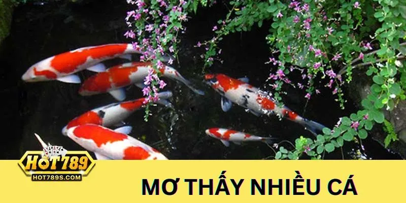 Ngủ mộng thấy nhiều cá - Đánh cá số 17 - 71 - 77 - 68 - 86