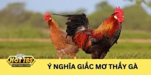 Tìm hiểu ý nghĩa giấc mơ thấy gà