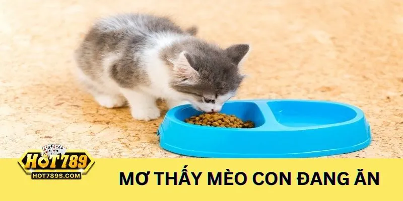 Ngủ mơ thấy mèo con đang ăn nên đánh số 15, 51