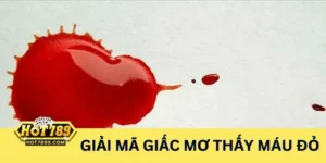 Giải mã giấc mơ thấy máu đỏ - thấu hiểu cảm xúc để nâng chất lượng cuộc sống