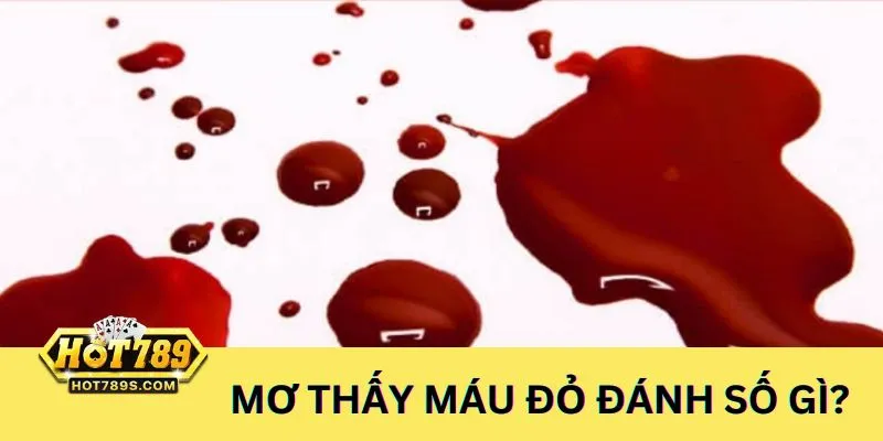 Nằm mơ thấy máu phun gì - Ngủ mơ thấy máu đỏ đánh số gì ?