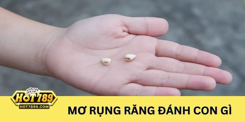 Ngủ nằm mơ thấy rụng răng nên đánh con gì dễ thắng thưởng