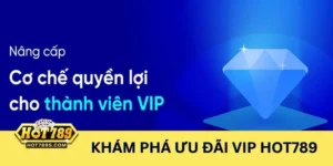 Tìm hiểu về thành viên VIP và những ưu đãi, đặc quyền riêng